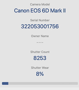 Canon EOS 6D Mark II kere või koos objektiiviga EF 70-200mm (9 foto / 10)