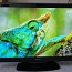 Televiisor Philips 42" LCD-teler Full HD TV (foto #1)