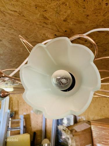 Новые лампы/ Uued lambid/ New lamps - Shatten bränd (фото #7)