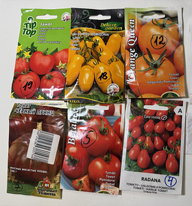 Annan ära tomatitaimed (Jõhvi) (1 foto / 6)