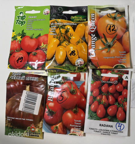 Annan ära tomatitaimed (Jõhvi)
