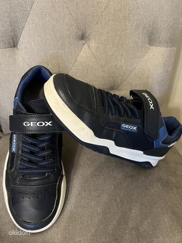 Geox s38