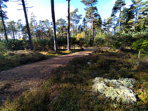 Merineitsi tee 8, Tahkuna, Hiiumaa vald, Hiiumaa (13 foto / 50)