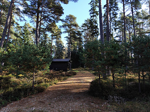 Merineitsi tee 8, Tahkuna, Hiiumaa vald, Hiiumaa (17 foto / 50)