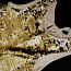 Праздничное золотое- платье с паетками 128/134 + сумочка (фото #5)