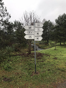 Alutaguse vald, Ida-Virumaa (15 foto / 18)