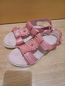 Ecco kingad s.33