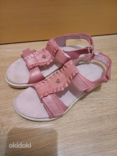Ecco kingad s.33