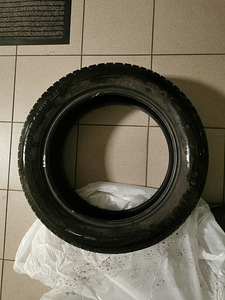 Lamellrehvid (4 foto / 5)