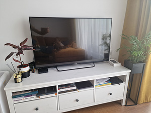 Sony BRAVIA 49" (3 foto / 4)