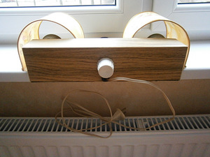 Lamp (2 foto / 3)