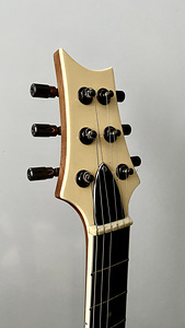 PRS style guitar, meistri töö, kvaliteet (4 foto / 9)