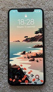 iPhone XS Max, 64Gb (1 фото из 2)