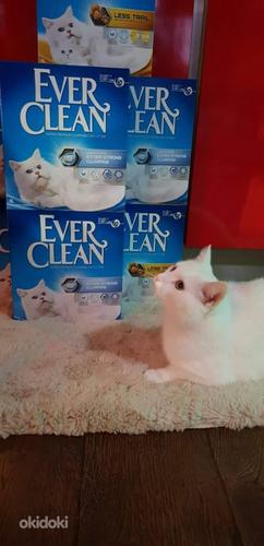 Элитный кошачий песок Ever Clean , скидка (фото #2)