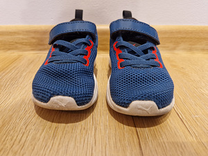 Puma tossud, 23 (3 foto / 5)