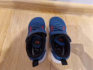 Puma tossud, 23 (5 foto / 5)