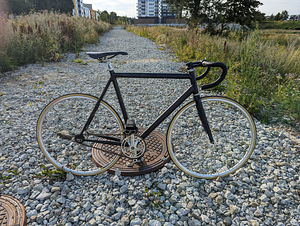 Dodici Gara fixed gear (2 foto / 5)