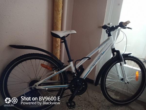 Merida dakar 624 24 best sale
