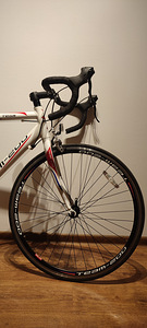 Maanteeratas Team 200 L raam (8 foto / 8)