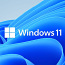 Windows 11 mälupulgal (foto #1)