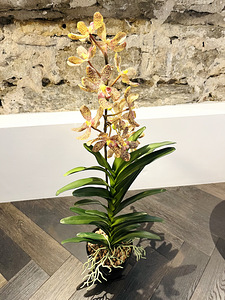 Kunstlill. Orhidee. 100 cm