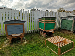 3 улея (8 фото из 8)