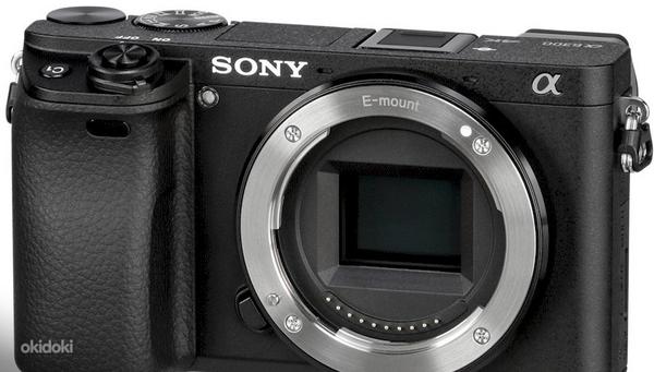 Sony A7sII; Sony A6300; 28-70мм; 300 мм 2,8; 400 мм5,6; и т.п. (фото #3)