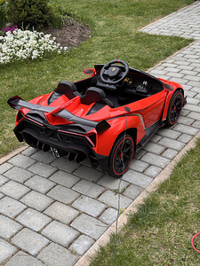 Laste elektriauto Lamborghini Veneno (7 foto / 10)