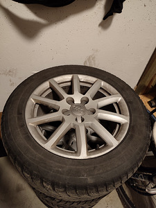 Audi/Škoda valuveljed 16 tolli, peal naastrehvid (1 foto / 6)