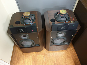 Revox Agora B напольные колонки (3 фото из 3)