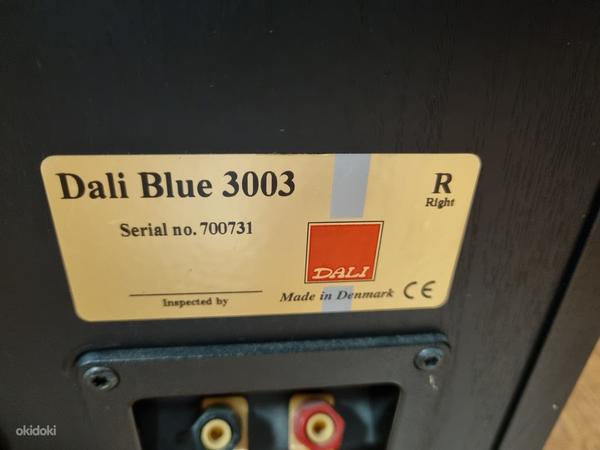 Dali Blue 3003 (foto #4)