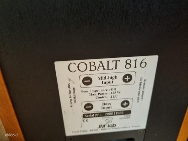 Focal Cobalt 816 HIGH END Loudspeakers (foto #4)