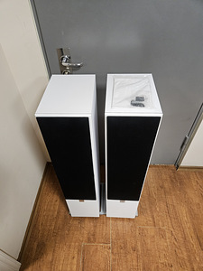 DALI ZENSOR 7 HiFi kõlarid. (4 фото из 6)