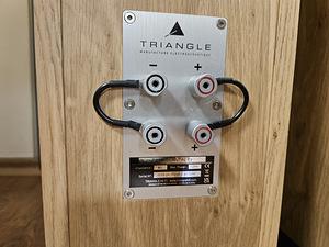 Напольная акустическая система Triangle Esprit Antal EZ (5 фото из 7)