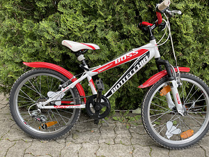 Bottecchia Boss 20 (1 foto / 3)