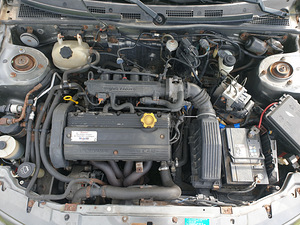 Mg Zr M/V (7 foto / 7)