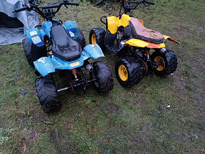 ATV-д 2 шт. 110 см3 (5 фото из 10)