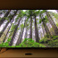 Samsung 82 дюймов 4K UHD LCD LED HDR Elite телевизор (фото #1)