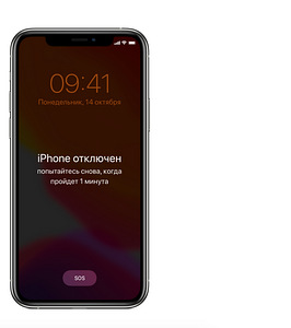 Установка, восстановление, macOS на i Mac, MacBook, iPhone, (3 фото из 10)