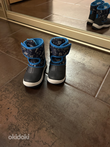 Детские зимние ботинки Geox (фото #1)