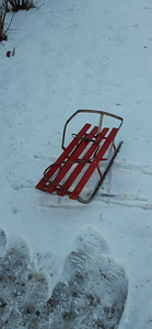 Raudkelgud seljatoega (2 foto / 3)