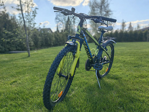 24" Torpado Jaguard Jalgrattas (2 foto / 8)