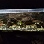 Müüa Juwel akvaarium 120L (foto #3)