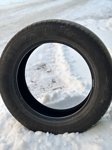 Bridgestone 225/60/r18 (1 фото из 4)