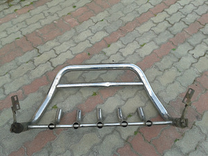 Кенгуру (2 фото из 3)