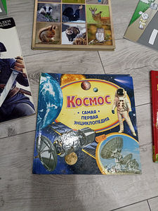 Книги для мальчиков. ЦЕНА все вместе (2 фото из 7)