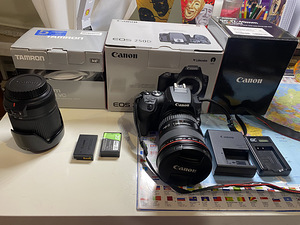 Canon EOS 250D, EF 17-40mm f/4L USM (3 foto / 3)