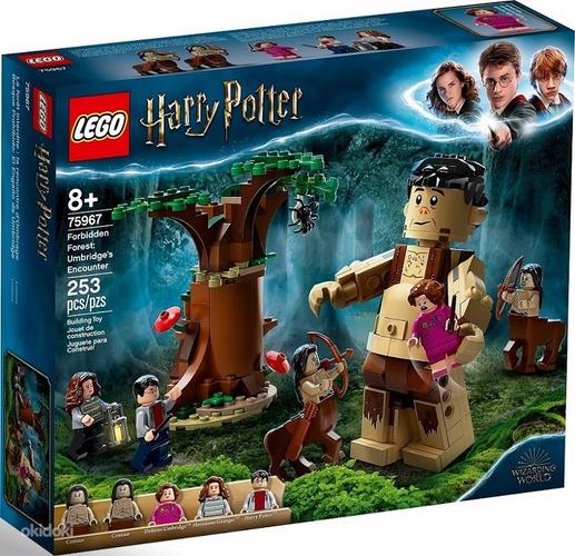 LEGO Harry Potter запр.лес Umbridgei разоблачение 75967 (фото #1)