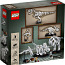 LEGO Ideas: окаменелости динозавров 21320 (фото #2)