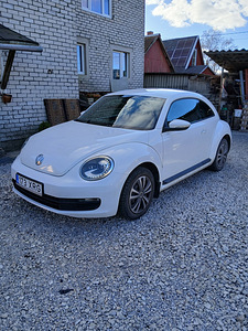 Volkswagen Beetle (1 foto / 7)